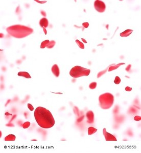 Falling rose petals background